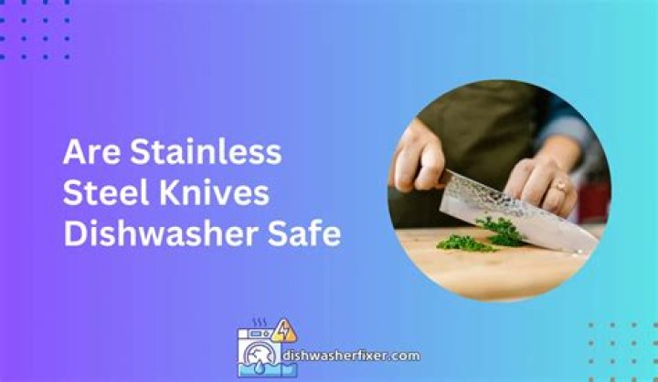 Are stainless steel knives dishwasher safe?