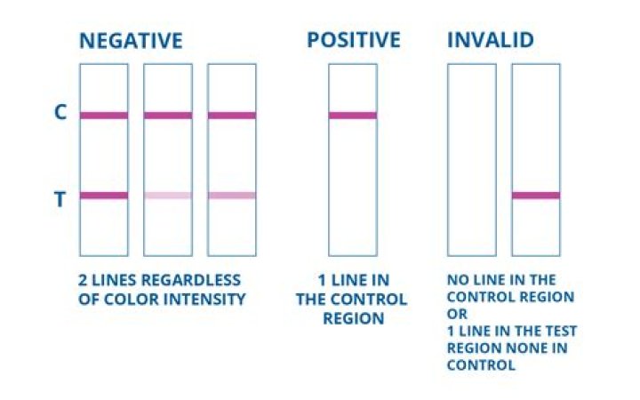 Can a diluted drug test still be positive?