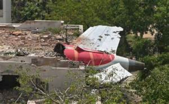 Can a single bird crash a plane?