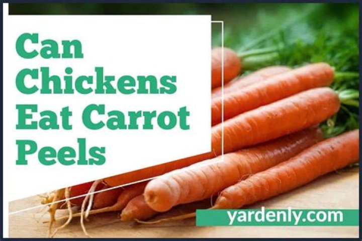 Can chickens eat raw carrot peelings?