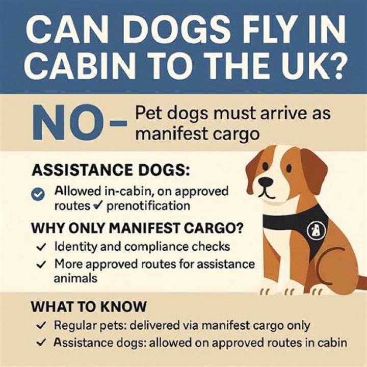 Can dogs fly in cargo in winter?