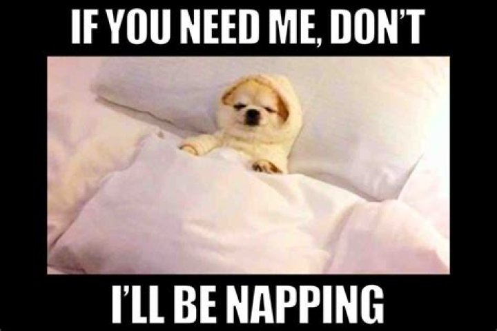 Can I nap at 7pm?