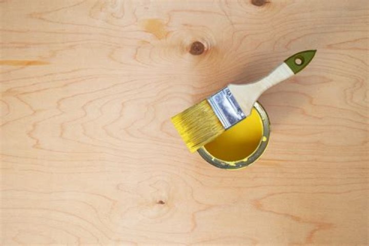 Can I paint over plywood?