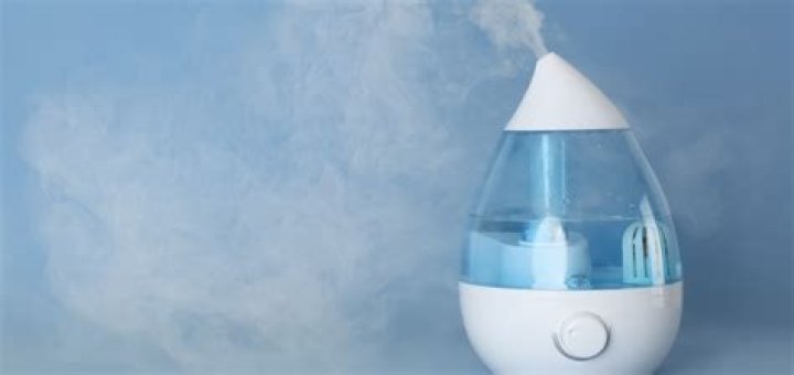 Can I put a teaspoon of bleach in my humidifier?