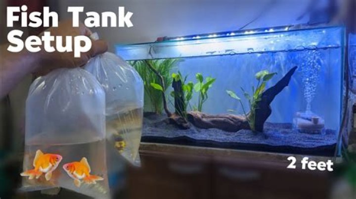 Can I put PLA in my fish tank?