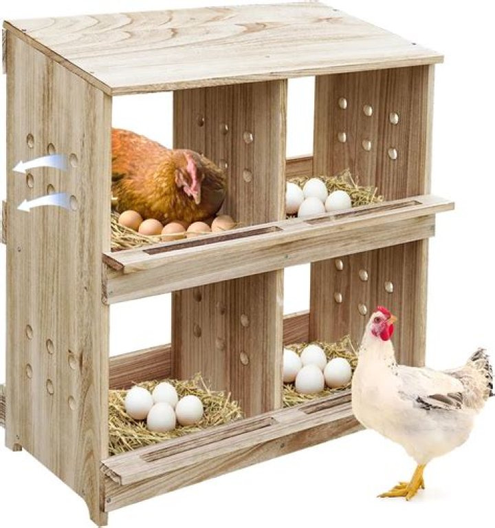 Can I replace chicken with eggs?