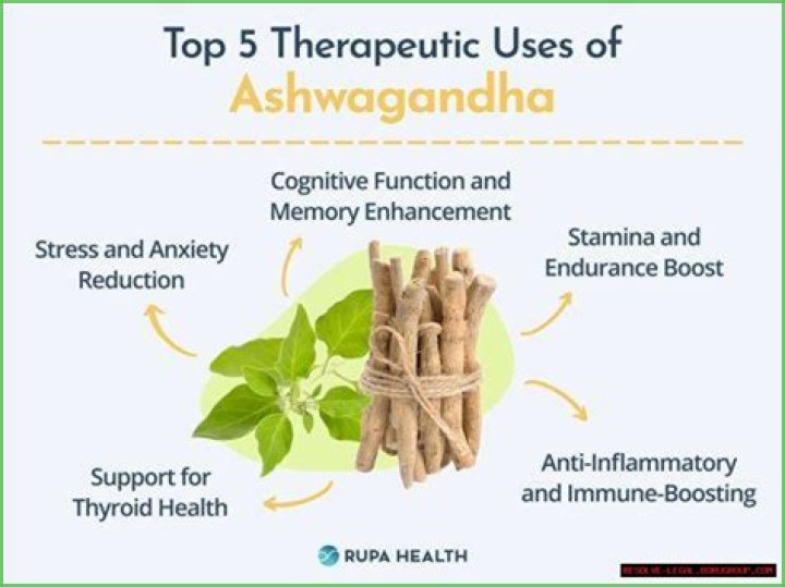 Can I take ashwagandha forever?