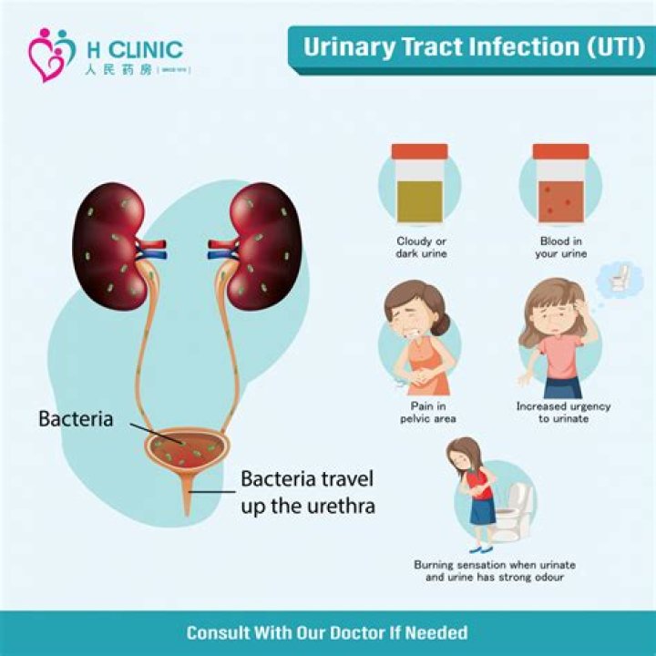 Can moringa cure urinary tract infection?