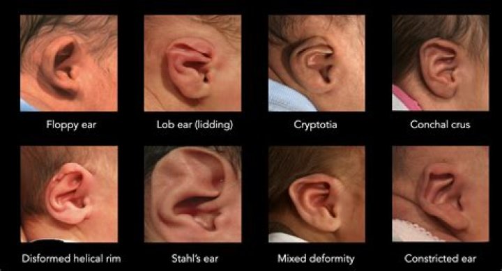 Can yelling at a newborn be harmful?