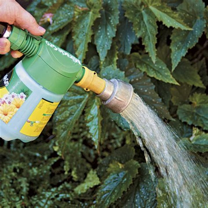 Can you add fertilizer to water propagation?