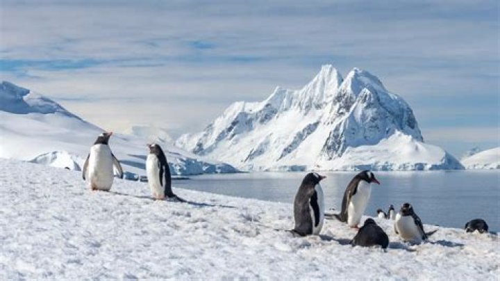 Can you build in Antarctica?