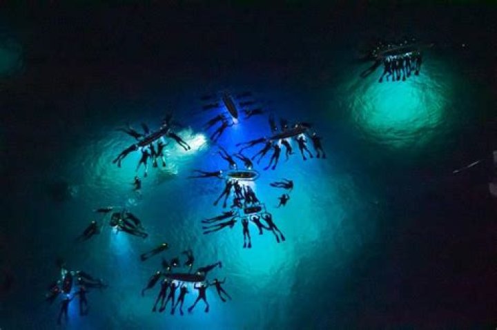 Can you swim at night in Maui?