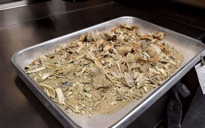 Can you touch cremated ashes?