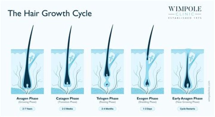 Can your hair grow after 50?