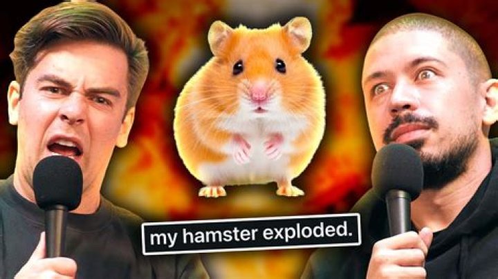 Did hamsters microwave?