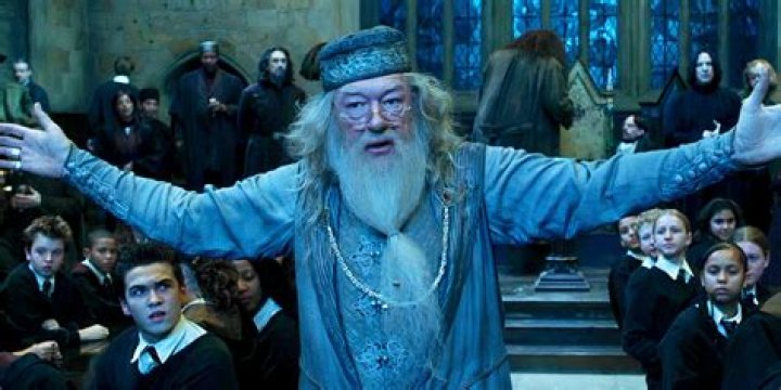 Did Hedwig protect Harry?