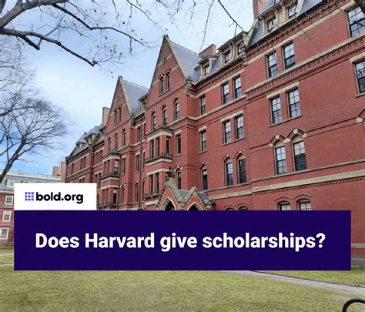 Did Kendall Roy go to Harvard?