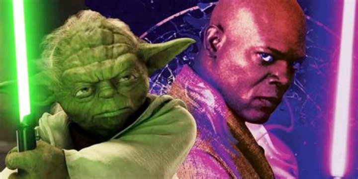 Did Windu master all forms?