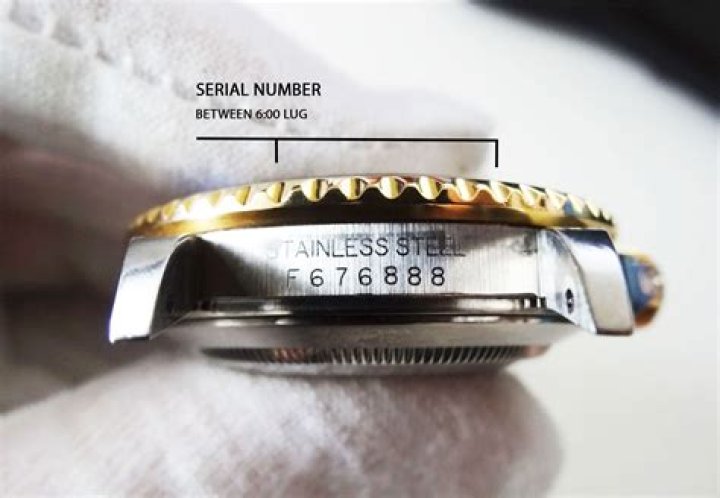 Do all Rolex watches have a serial number?