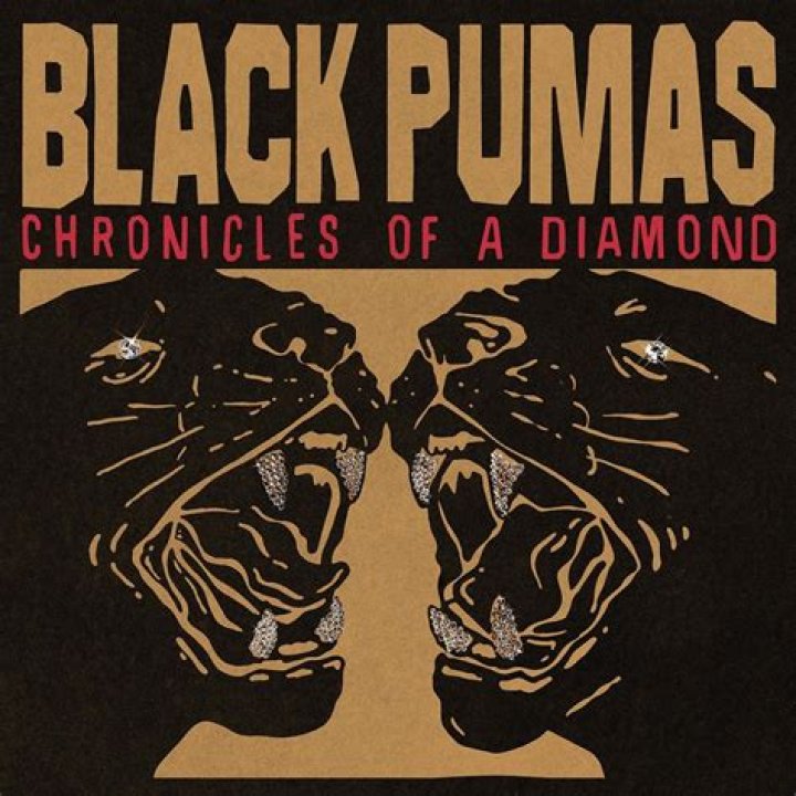 Do black pumas exist?