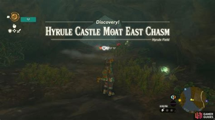 Do Hyrule Castle enemies Respawn?