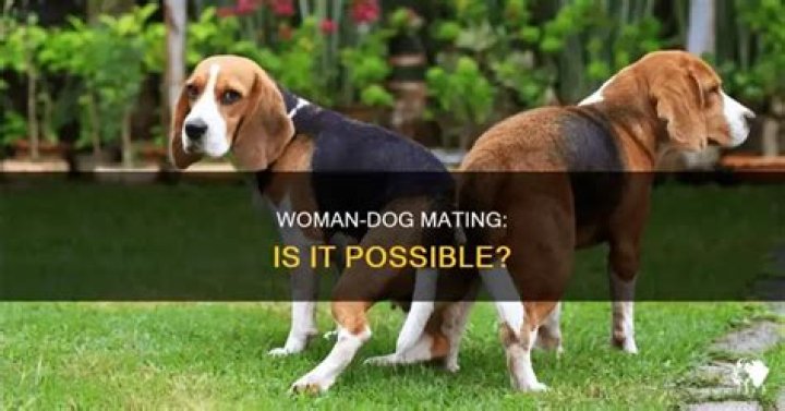 Do pigs mate with dogs?