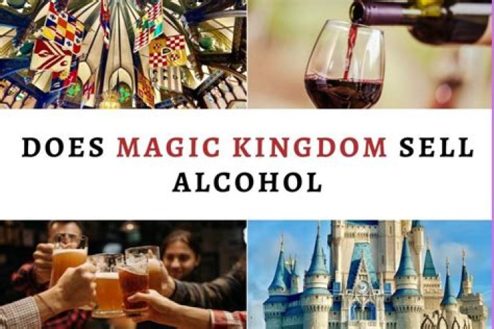 Does Magic Kingdom allow alcohol?