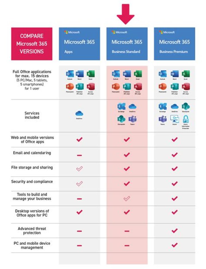 Does Office 365 have a database program?