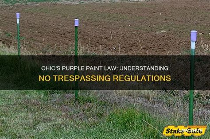 Does Ohio have a purple paint law?