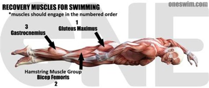 Does swimming strengthen your joints?