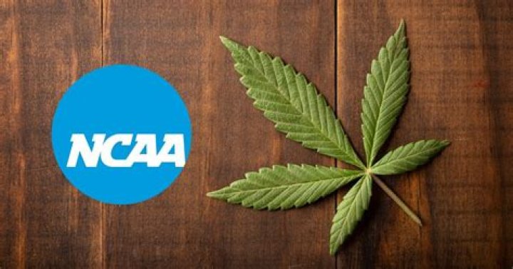 Does the NCAA test for cannabinoids?