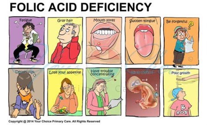 Does too much folic acid cause autism?