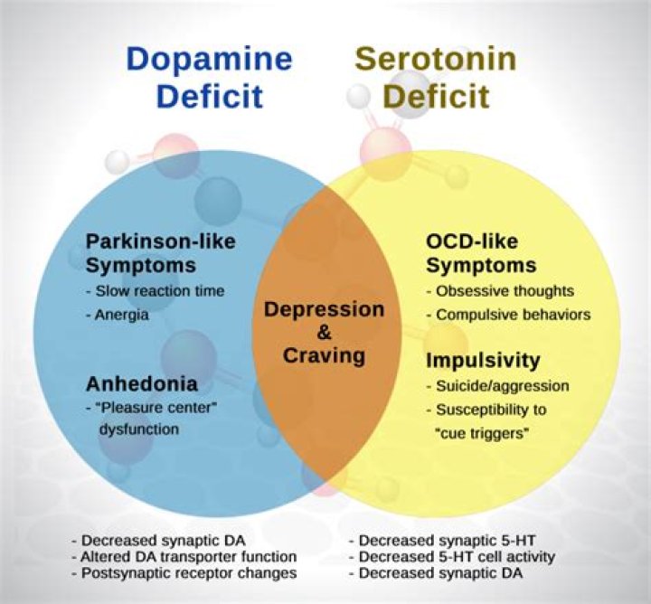 Does tramadol affect serotonin or dopamine?