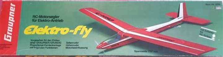 How can Electro fly?