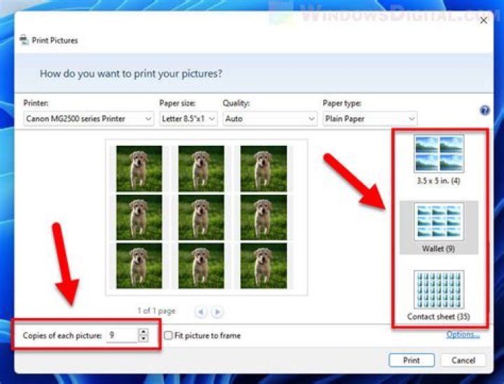 How can I print a picture to the exact size that I need Windows 10?