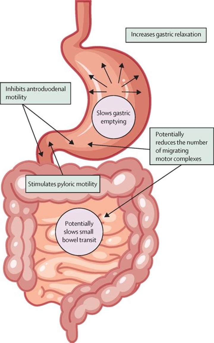 How can I speed up my stomach emptying?