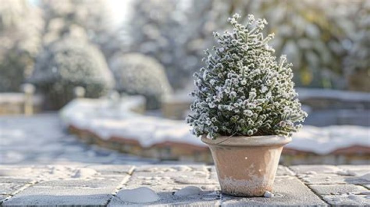 How can I survive my car in the winter?