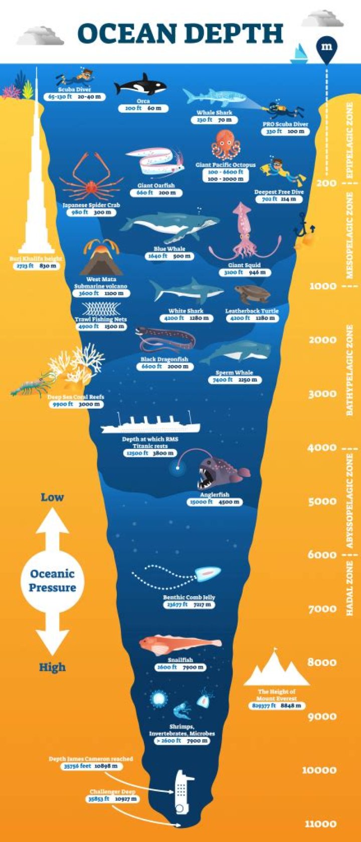 How deep is the deepest part of the ocean?