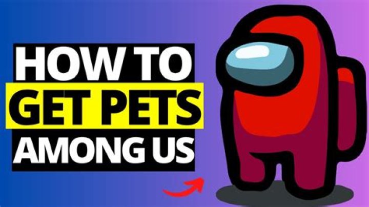 How do I get a pet in Among Us?