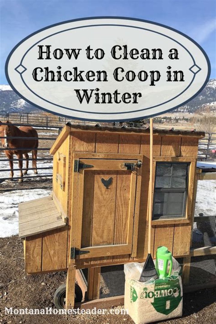 How do I keep my chicken coop clean in the winter?
