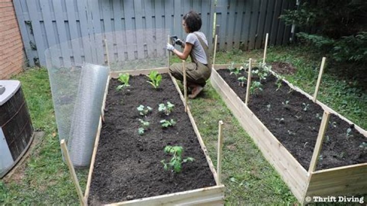 How do I protect my raised beds?
