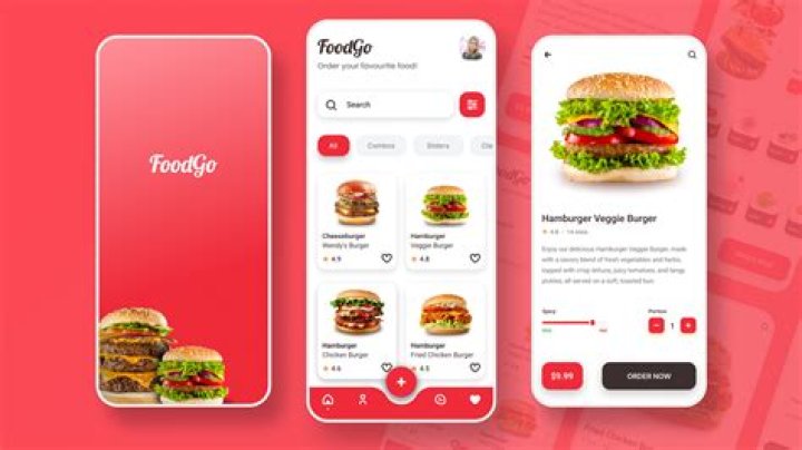 How do I set up a food delivery service?