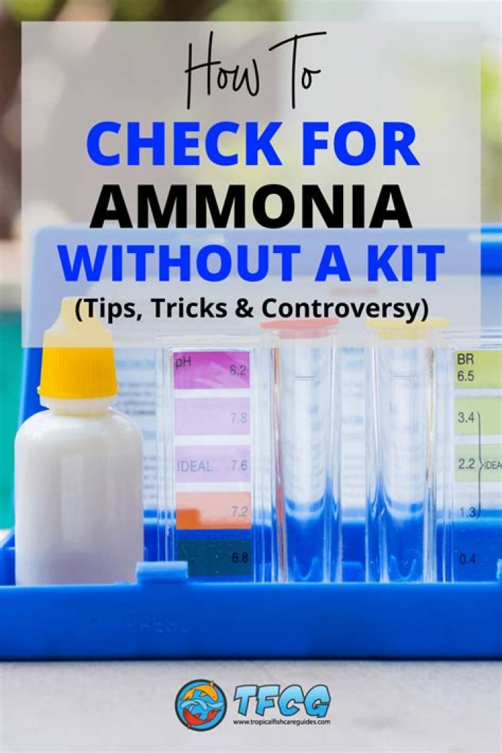 How do you check ammonia levels in your home?