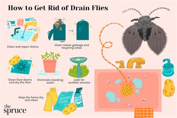 How do you get rid of a caterpillar infestation?