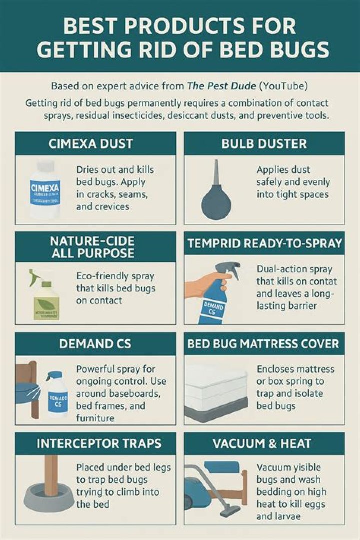 How do you get rid of bees in a wall?