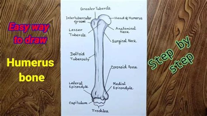 How do you know if a bone is dying?