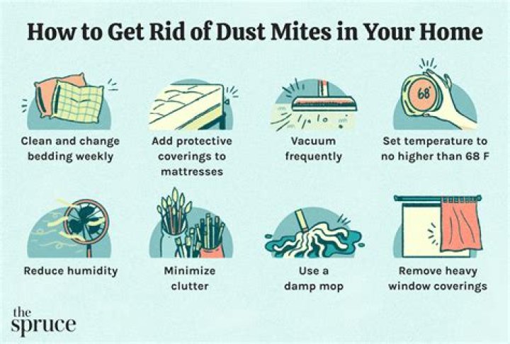 How do you stop mites from itching?
