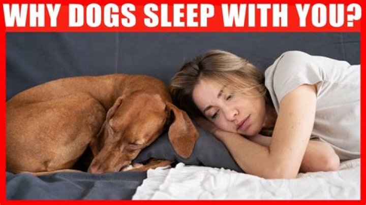 How do you tell if a older woman wants to sleep with you?