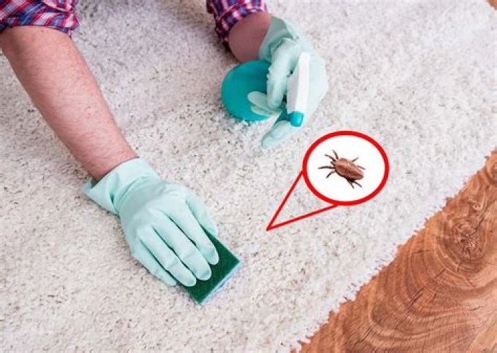 How do you use baking soda to get rid of fleas in carpet?
