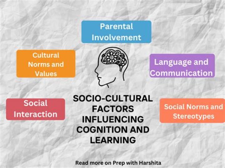 How does cultural experience influence the development of our social cognition?
